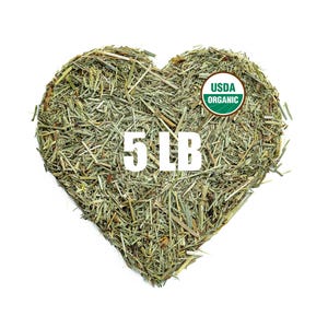 Organic Horsetail (Equisetum arvense) – 5 lb Bulk