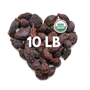 Organic Rosehip (Rosa canina) – 10 lb Bulk