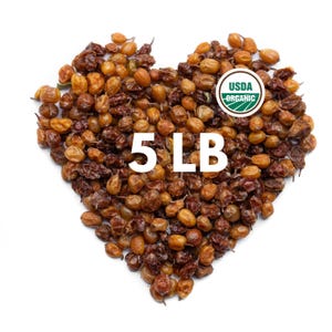 Organic Sea Buckthorn (Hippophae rhamnoides) – 5 lb Bulk