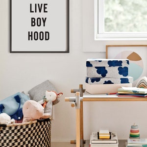 May include: A black framed print with the text "LONG LIVE BOY HOOD" hanging on a white wall. A wooden shelf with two storage boxes, one with a blue and white cloud pattern and the other with a white and gray pattern, is in the background. The shelf also has a stack of books and a rainbow-colored stacking toy.