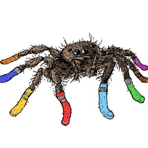 May include: A cartoon illustration of a brown spider wearing colorful socks on all eight legs. The spider has large, round eyes and a fuzzy body.