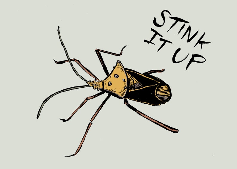 Stink It up Stinkbug Digital Art Print (5