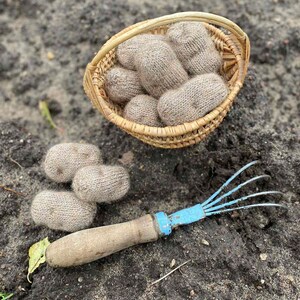 Könnte beinhalten: Ein kleiner Weidenkorb gefüllt mit mehreren beigefarbenen, gestrickten Objekten, die Kartoffeln ähneln, neben einer kleinen Gartenharke mit Holzgriff und blauer Farbe. Die Gegenstände liegen auf dunkler Erde, was auf Gartenarbeit hindeutet.
