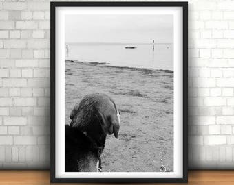 Dog on the beach, printable poster, photography, instant download, Home decor, art print, download and print
