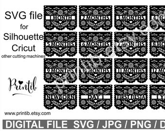 Papel Picado First Year Photo Banner SVG: Fiesta Birthday Decor (Digital Download)