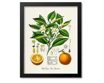 Orange wall art | Etsy