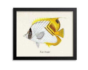 Threadfin Butterflyfish Art Print, Threadfin Butterflyfish Art Print, Butterflyfish Wall Art,Butterflyfish Print, Sea Life, Ocean Art Print