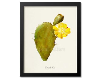 Prickly Pear Cactus Art Print, Botanical Art Print, Cactus Wall Art, Cactus Botanical Print, Cactus Art, green yellow art print