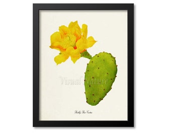 Prickly Pear Cactus Art Print, Botanical Art Print, Cactus Wall Art, Cactus Botanical Print, Cactus Art, green yellow art print