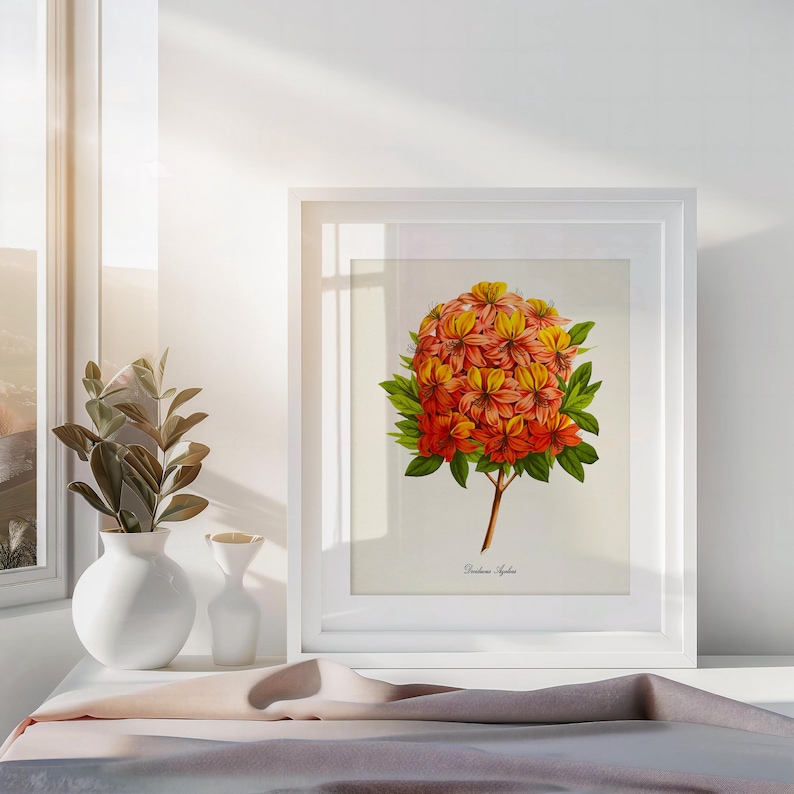 Deciduous Azaleas Flower Art Print, Botanical Art Print, Flower Wall ...