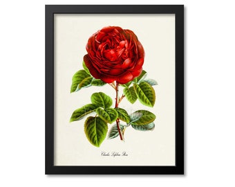 Red Rose Flower Art Print, Botanical Art Print, Flower Wall Art, Flower Print, Floral Print, Red Rose Art Print, Charles Lefebvre Rose