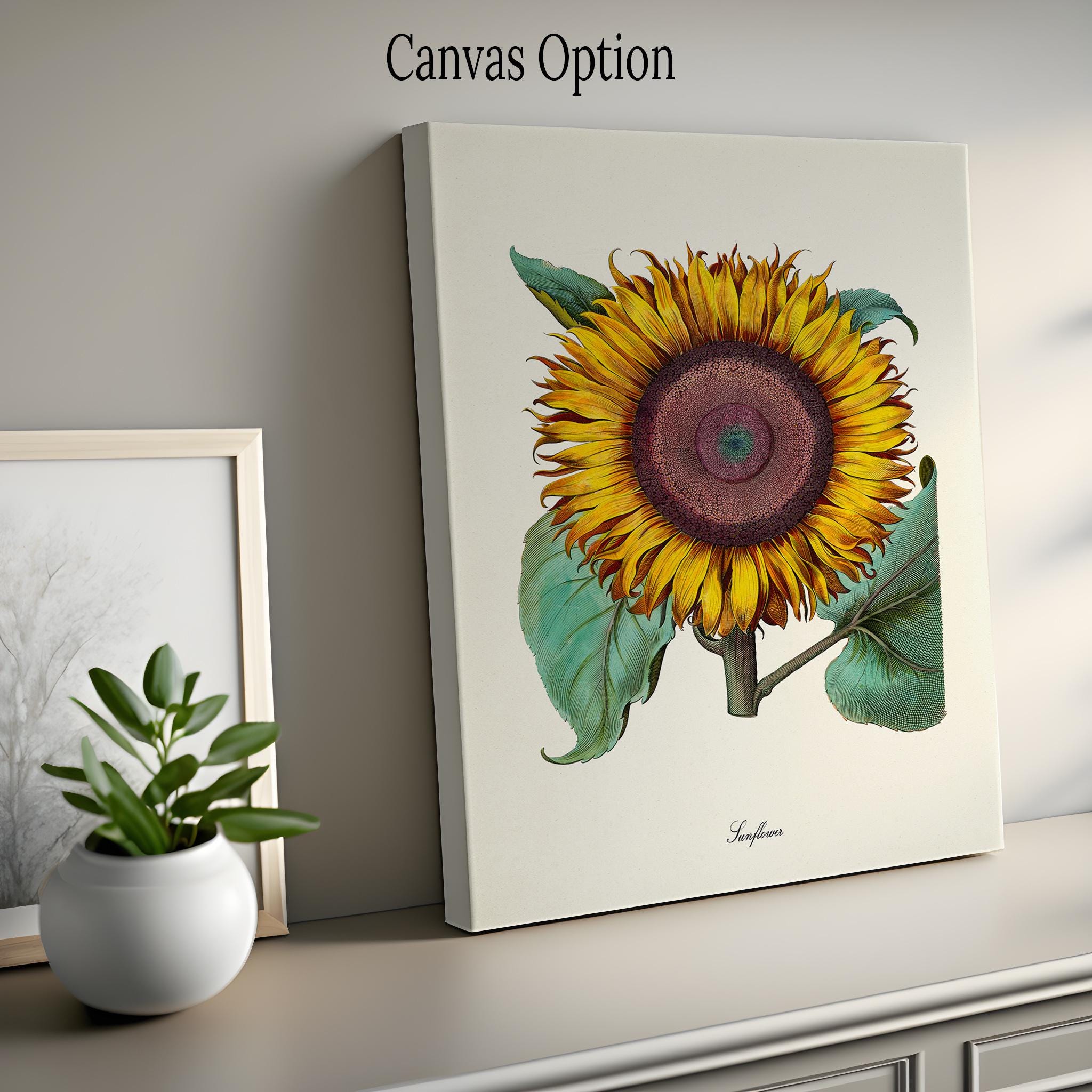 Botanical Print, Botanical Art, Sunflower Flower Art Print, Botanical ...