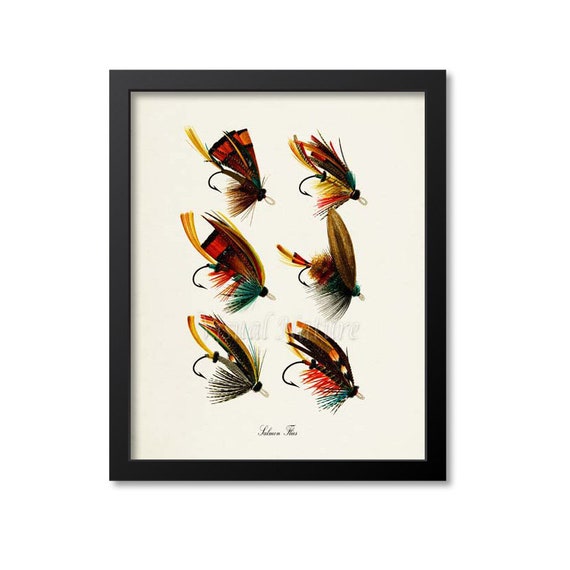 Salmon Flies Art Print, Fly Fishing Art Print, Salmon Fly Fishing Wall Art  Decor -  Ireland