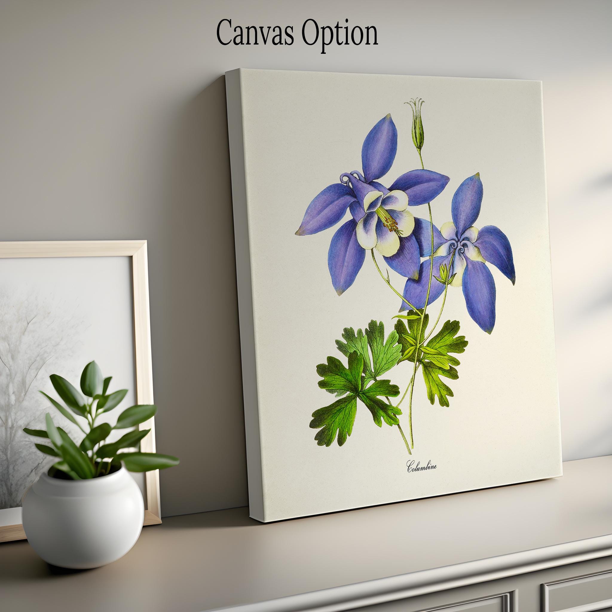 Columbine Flower Art Print, Botanical Art Print, Flower Wall Art