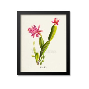 Pink Cactus Art Print, Botanical Art Print, Cactus Wall Art, Cactus Botanical Print, Home Decor, green pink art print