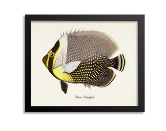 Pakistan Butterflyfish Art Print, Pakistan Butterflyfish Art Print, Pakistan Butterflyfish Wall Art, Sea Life, Ocean Art Print