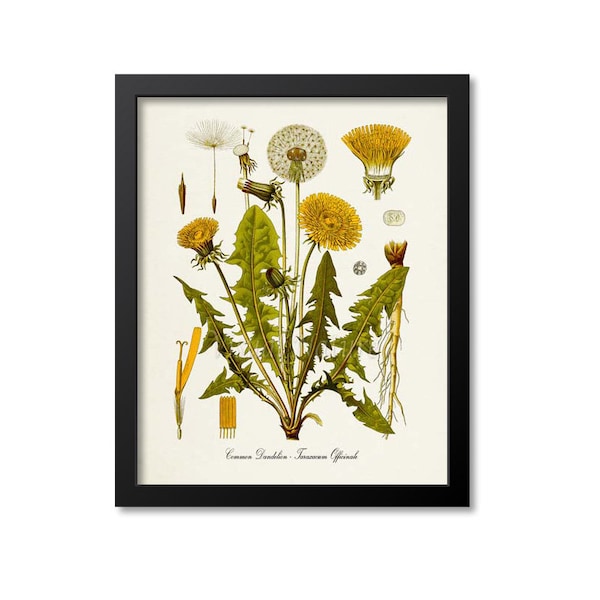Dandelion Wall Art Etsy