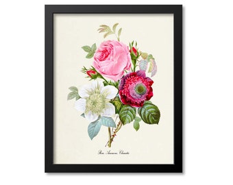 Rose Anemone Clematis Flower Art Print, Botanical Art Print, Flower Wall Art, Flower Print, Home Decor, red, green, white, pink