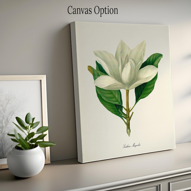 May include: A white magnolia flower with green leaves on a white background. The text "Southern Magnolia" is printed below the flower.