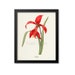 see more listings in the Red Flower Prints section