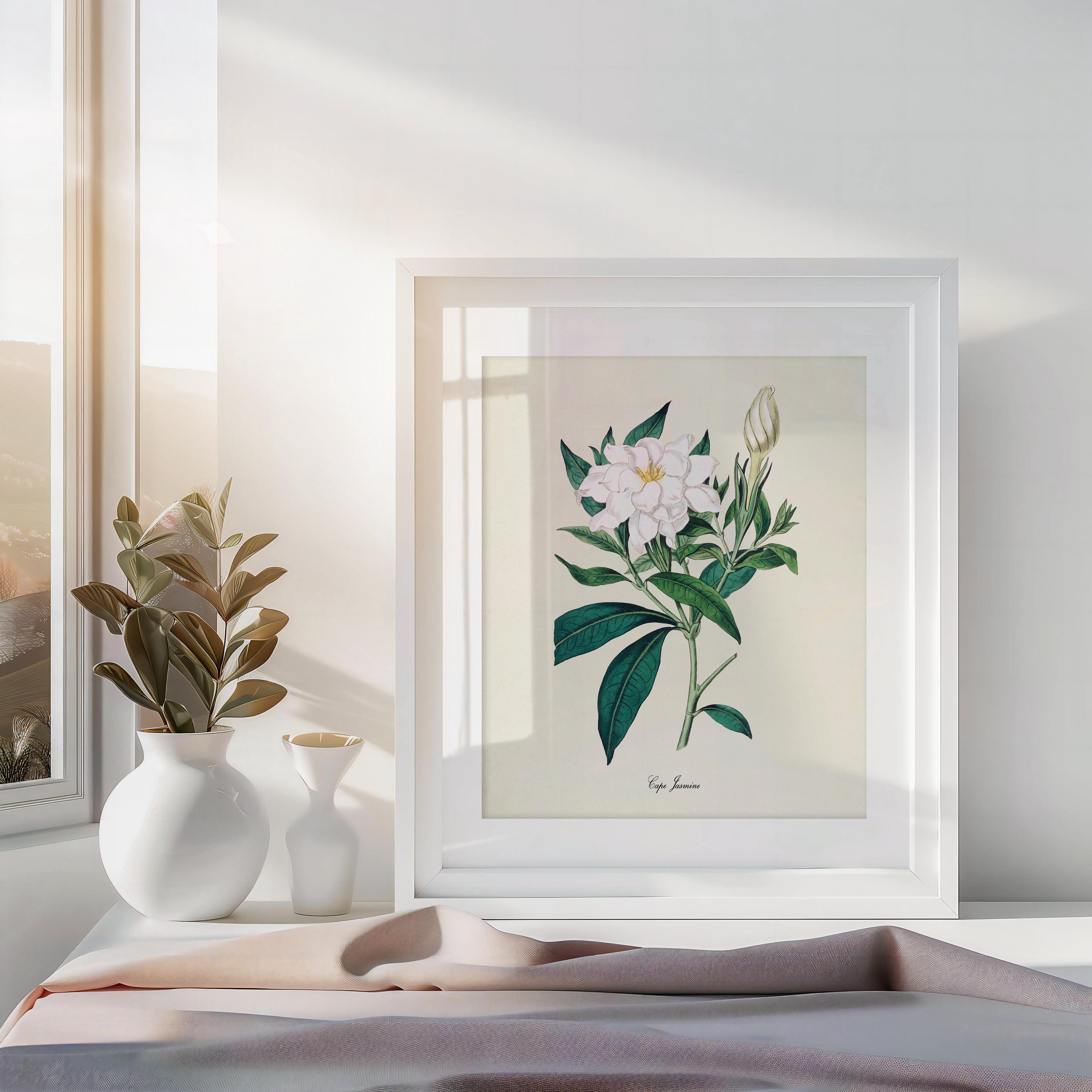 Cape Jasmine Flower Art Print, Botanical Art Print, Flower Wall Art ...