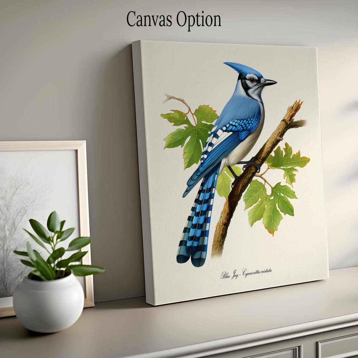 Jay R Prints Blue Jay Bird Print, Bird Art Print, Bird Art, Blue Jay Wall Art Bird ...