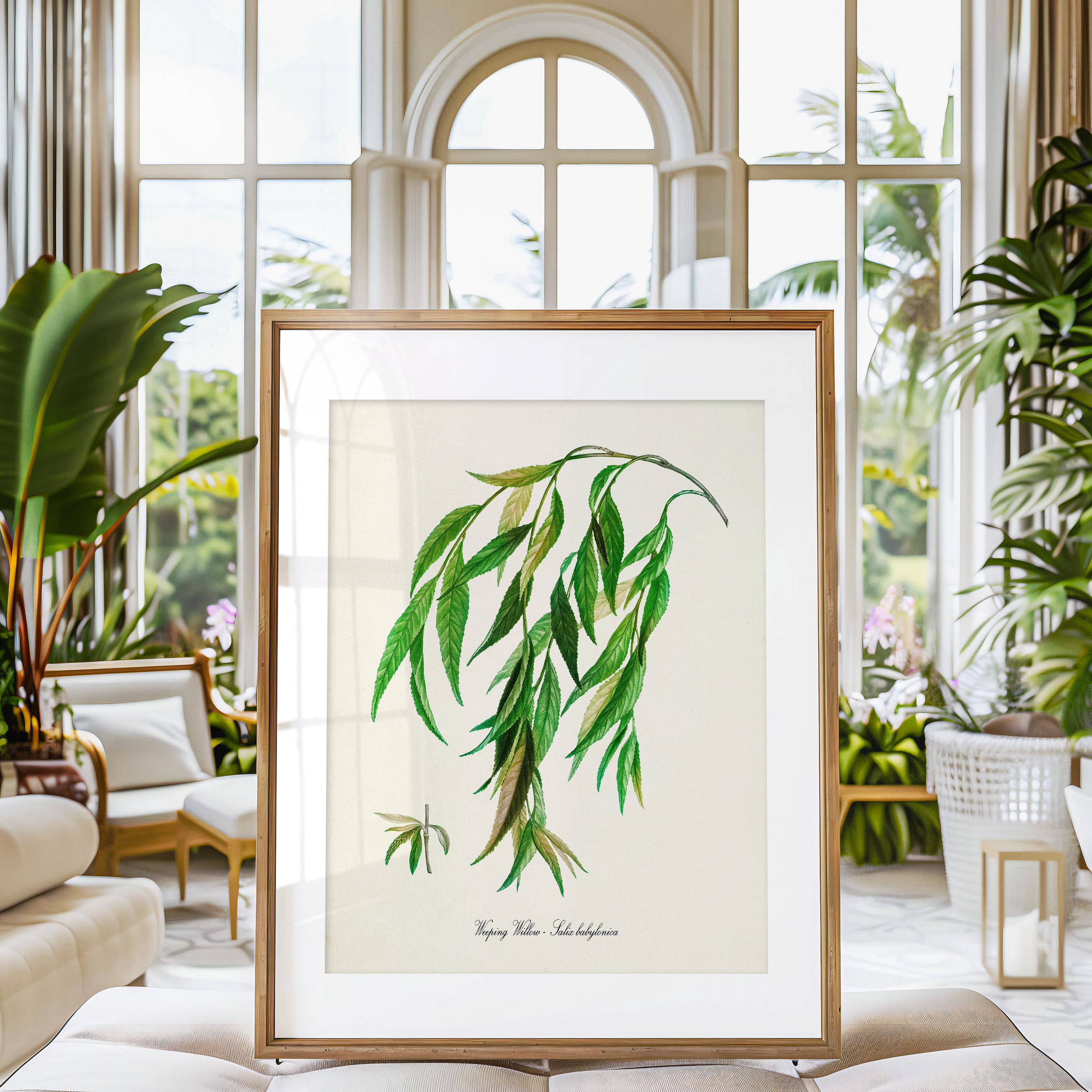エルテ Erte「Willow Tree」シルクスクリーン 10号大 サイン