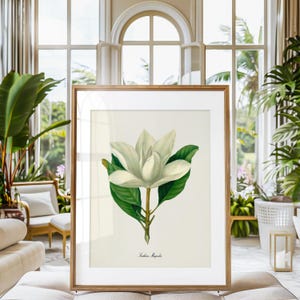 May include: A framed botanical illustration of a white magnolia flower with green leaves. The illustration is on a white background with the text "Southern Magnolia" at the bottom.