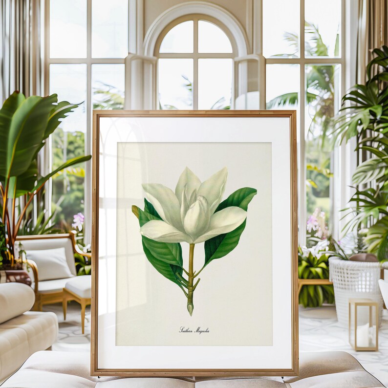 May include: A framed botanical illustration of a white magnolia flower with green leaves. The illustration is on a white background with the text "Southern Magnolia" at the bottom.
