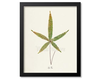 Lip Fern Art Print, Botanical Art Print, Fern Wall Art, Fern Print, Botanical Print, Home Decor, green art print