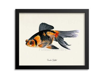 Demekin Goldfish Art Print, Goldfish Art Print, Goldfish Wall Art, Goldfish Print, Sea Life, Ocean Art Print