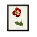 see more listings in the Red Flower Prints section