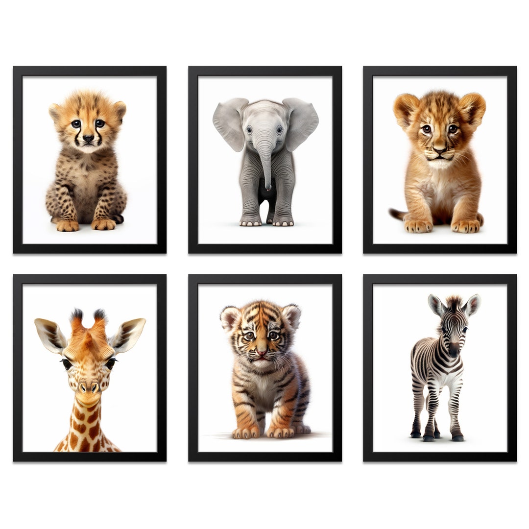 Safari Nursery Decor, Nursery Wall Art, Baby Animal Prints for Nursery
