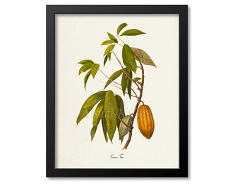 Cacao Tree Art Print, Cocoa Tree, Cocoa Beans, Chocolate Botanical Art Print, Wall Art, Tree Leaf Print, Botanical Print,green brown