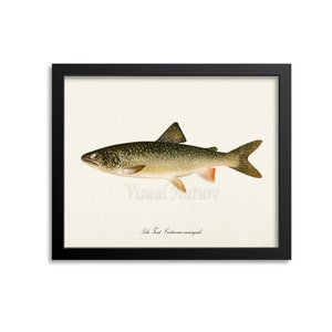 Lake Trout Art Print, Fishing Art Print, Fishing Wall Art Decor