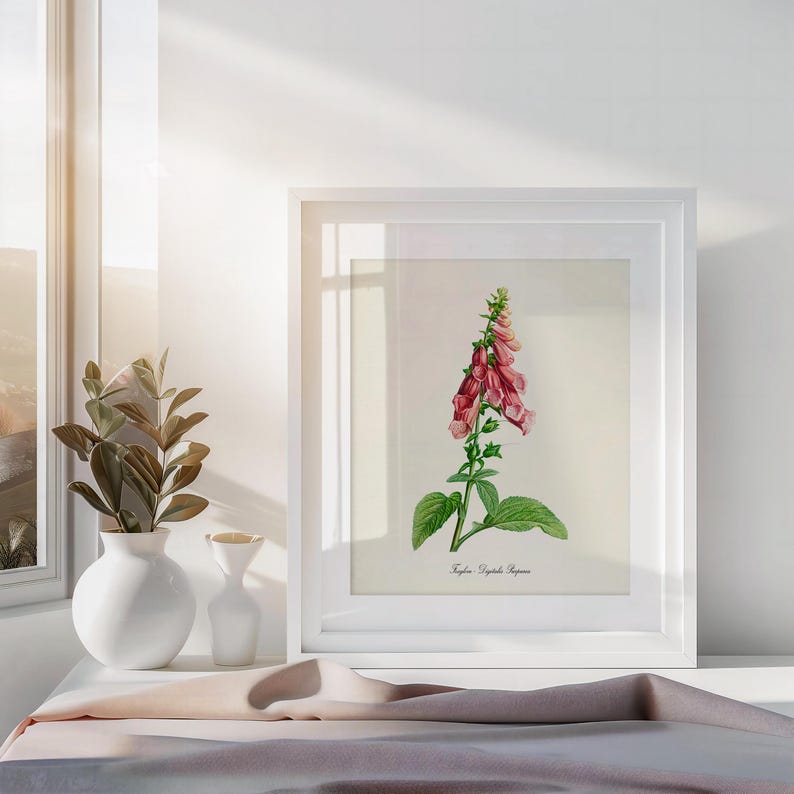 May include: A white framed botanical print of a pink foxglove flower with green leaves. The print is titled "Digitalis Purpurea".