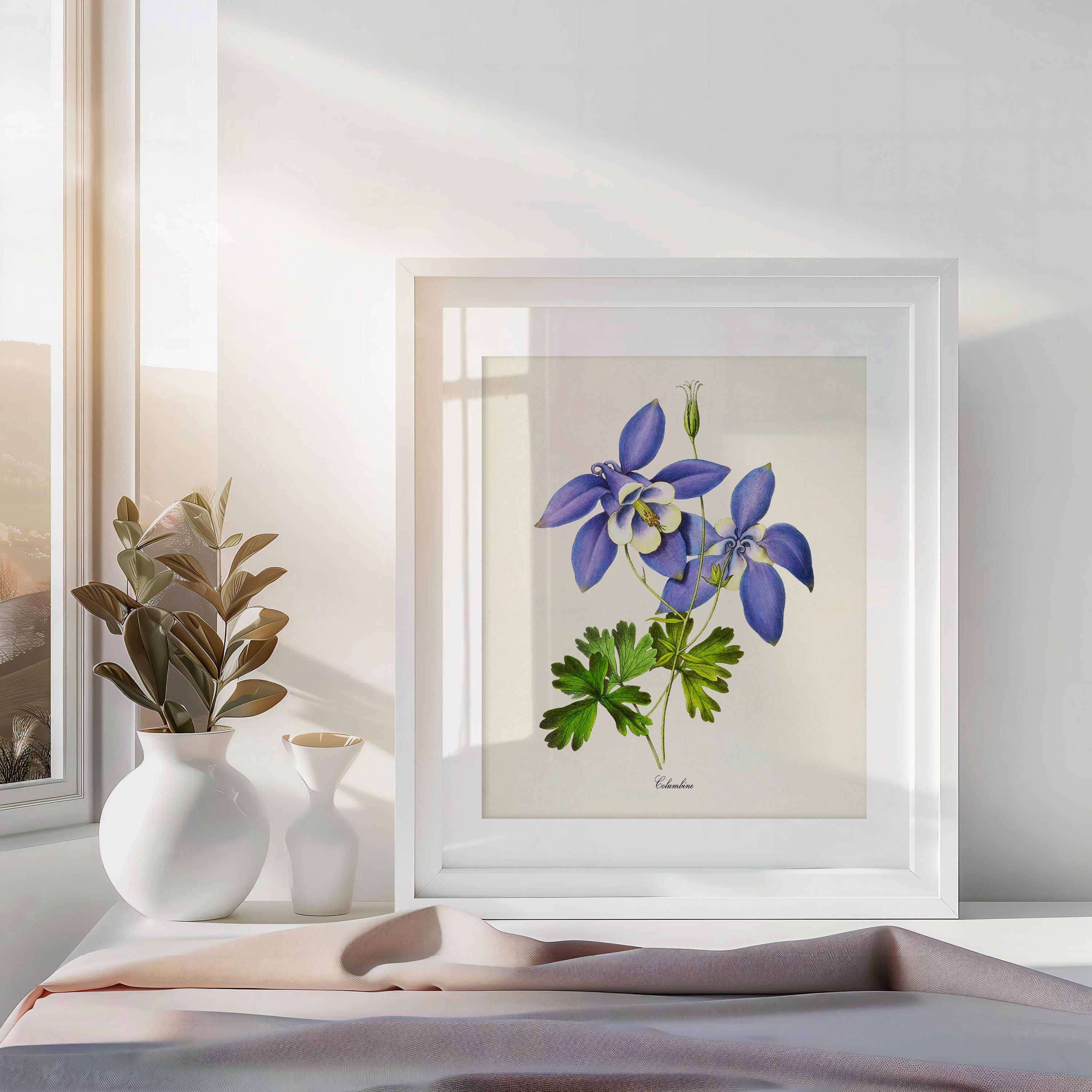 Columbine Flower Art Print, Botanical Art Print, Flower Wall Art