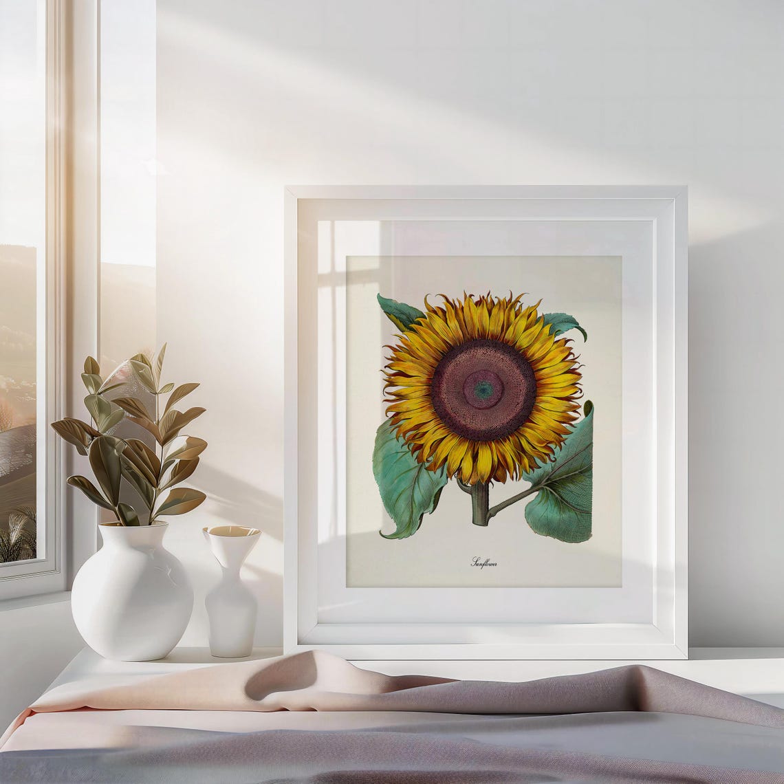 Botanical Print, Botanical Art, Sunflower Flower Art Print, Botanical ...