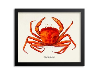 Deep Sea Red Crab Art Print, Crab Art Print, Crab Wall Art, Crab Print, Sea Life, Ocean Art Print, Seafood Restaurant Art