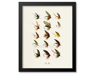 Trout Flies Art Print, Fly Fishing Art Print, Trout Fly Fishing Wall Art Decor