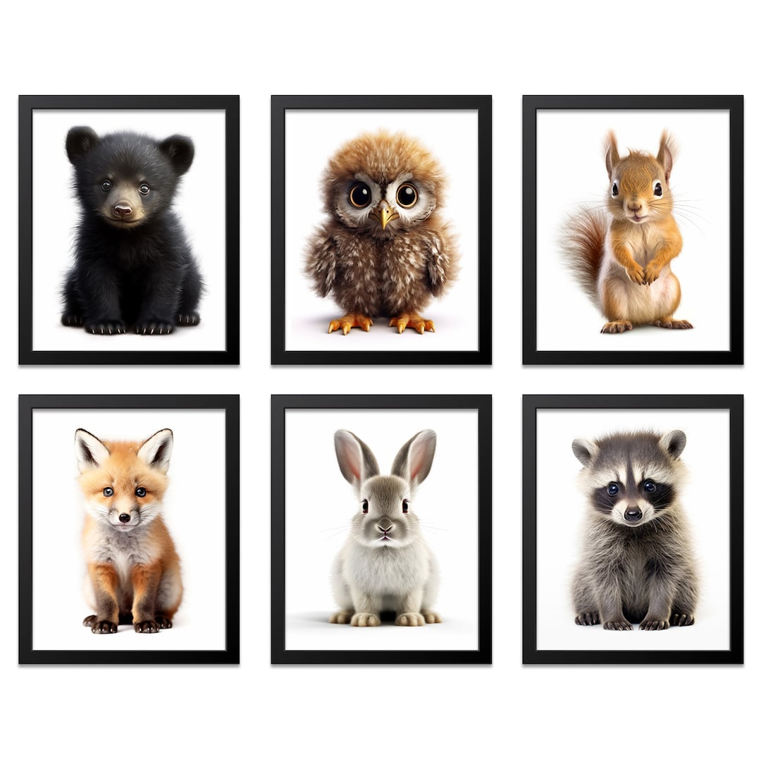 Baby Woodland Nursery Decor Set of 6, Woodland Nursery Print, Baby