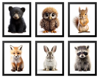 Baby Woodland Nursery Decor Set of 6, Woodland Nursery Print, Baby Animal Nursery Wall Art, Baby Shower Gift, Baby Animal Prints for Nursery