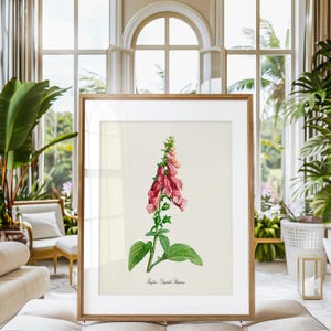 May include: A framed botanical illustration of a pink foxglove flower with green leaves. The illustration is titled "Foxglove - Digitalis Purpurea".