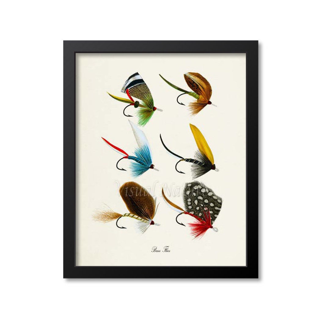 Bass Flies Art Print, Fly Fishing Art Print, Bass Fly Fishing Wall Art