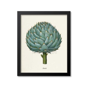 Artichoke Botanical Print, Artichoke Art Print, Fruit Art, Fruit Print, Kitchen Art, Garden, Vegetable Art Print