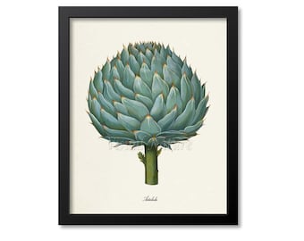 Artichoke Botanical Print, Artichoke Art Print, Fruit Art, Fruit Print, Kitchen Art, Garden, Vegetable Art Print