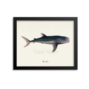 Whale Shark Art, Whale Shark Art Print, Whale Shark Wall Art, Whale Shark Print, Sea Life, Ocean Art Print, Rhincodon typus