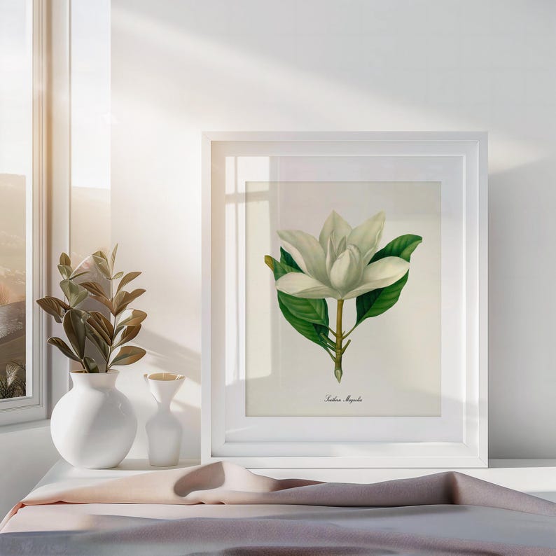 May include: A white framed print of a botanical illustration of a white magnolia flower with green leaves. The print is titled "Magnolia Grandiflora".