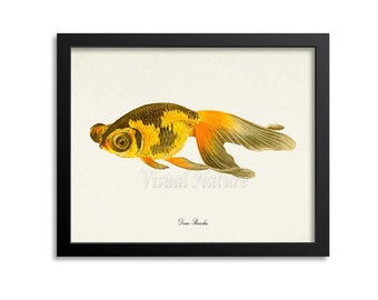 Deme Ranchu Goldfish Art Print, Goldfish Art Print, Goldfish Wall Art, Goldfish Print, Sea Life, Ocean Art Print