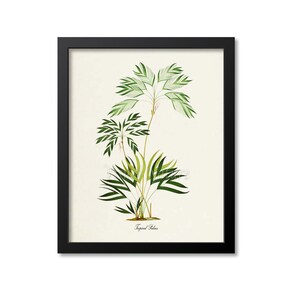 Tropical Palms Art Print, Botanical Art Print, Palms Wall Art, Palms Print, Botanical Print, Home Decor, green art print